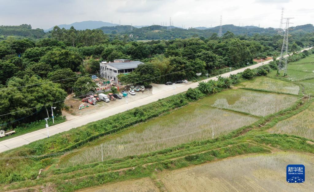 新加坡赌场攻略
